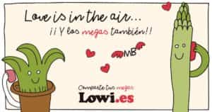 Cómo contactar con el servicio de atención al cliente de Lowi 1 comparte megas lowi