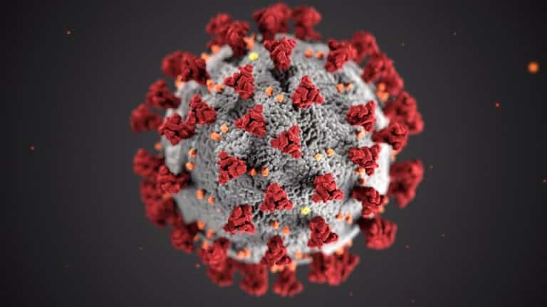 Coronavirus: teléfonos de información de cada Comunidad Autónoma